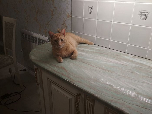 столешница из кварцита Гойя 008.jpg